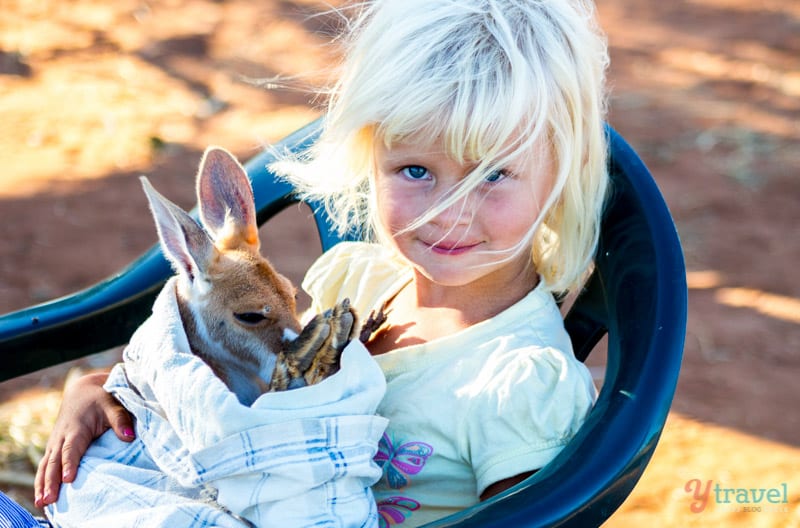Alice Springs (98) young girl holding baby Kangaroo